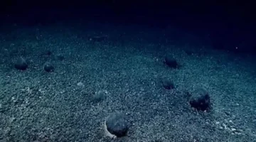 لغز الأكسجين المظلم المكتشف على عمق 4000 متر تحت سطح المحيط